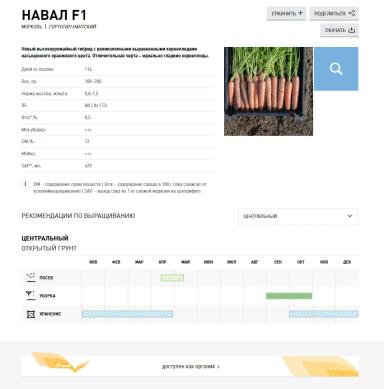 Навал F1 (NAVAL)