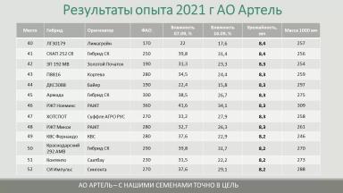 Результаты испытания гибридов кукурузы на площадке АртПолигон