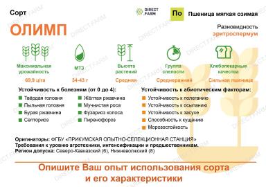 Олимп ® сорт мягкой озимой пшеницы