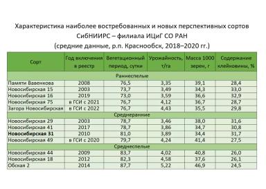 Сибирские селекционеры вывели новые сорта яровой пшеницы