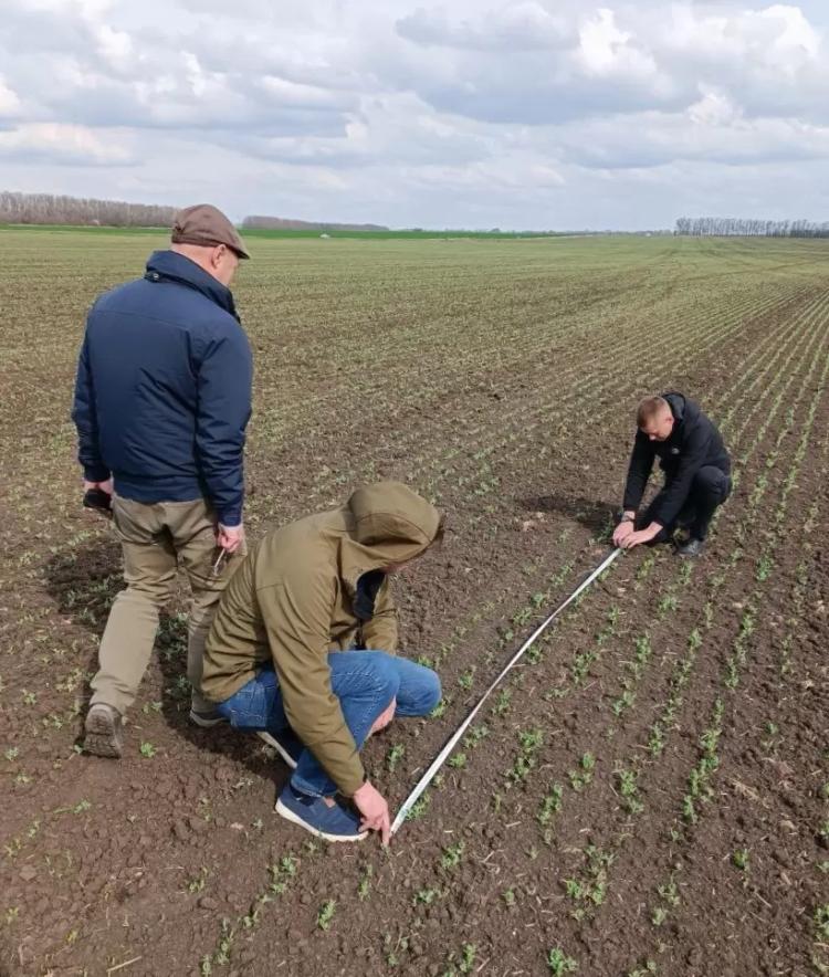 Агросопровождение на всех этапах