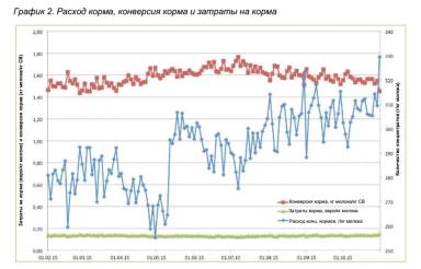 Слабые места в кормлении КРС