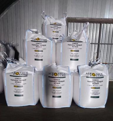 Таганрог — яровая твёрдая пшеница, которая продаётся качеством