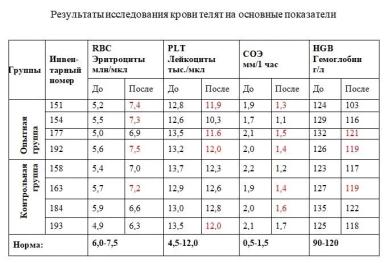 Оценка эффективности применения пробиотика «Споровит» при лечении гастроэнтерита телят