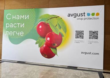 Стартовал международный форум для садоводов «Абрикос»!