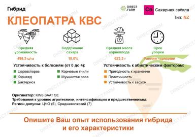 Клеопатра КВС (KLEOPATRA KWS) гибрид сахарной свеклы