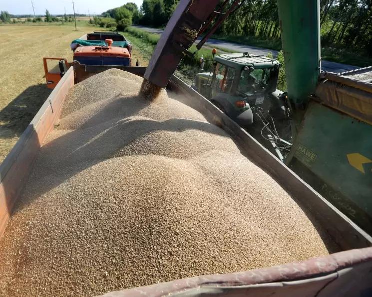 Цены реализации зерна в РФ уже "массово ниже себестоимости" — ПроЗерно