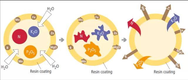 Пролонгированные удобрения в условиях ограниченного импорта