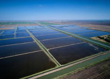 Слово партнерам «Августа». ООО «Кубрис»