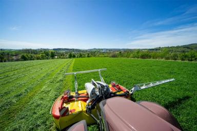 Кормозаготовка: как защитить животных?