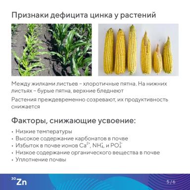 «Элементарно об элементах!» – цинк