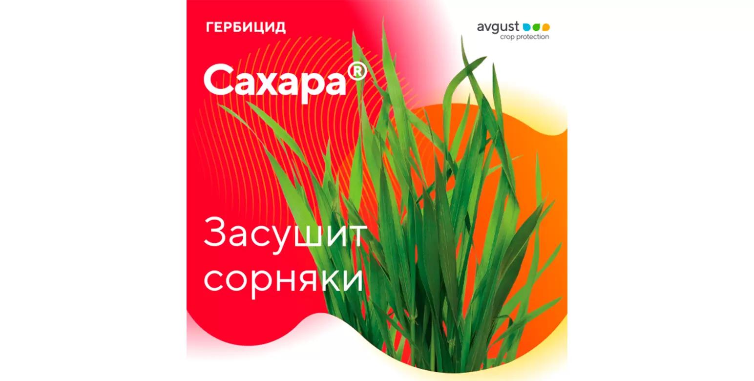 Сахара® – гербицид неизбирательного действия для защиты зерновых