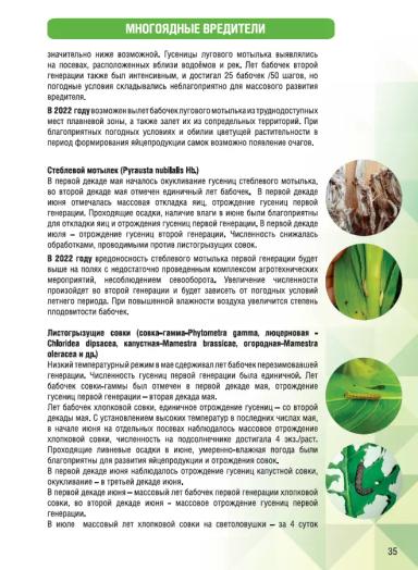 Обзор фитосанитарного состояния Краснодарского края и прогноз на 2022 год