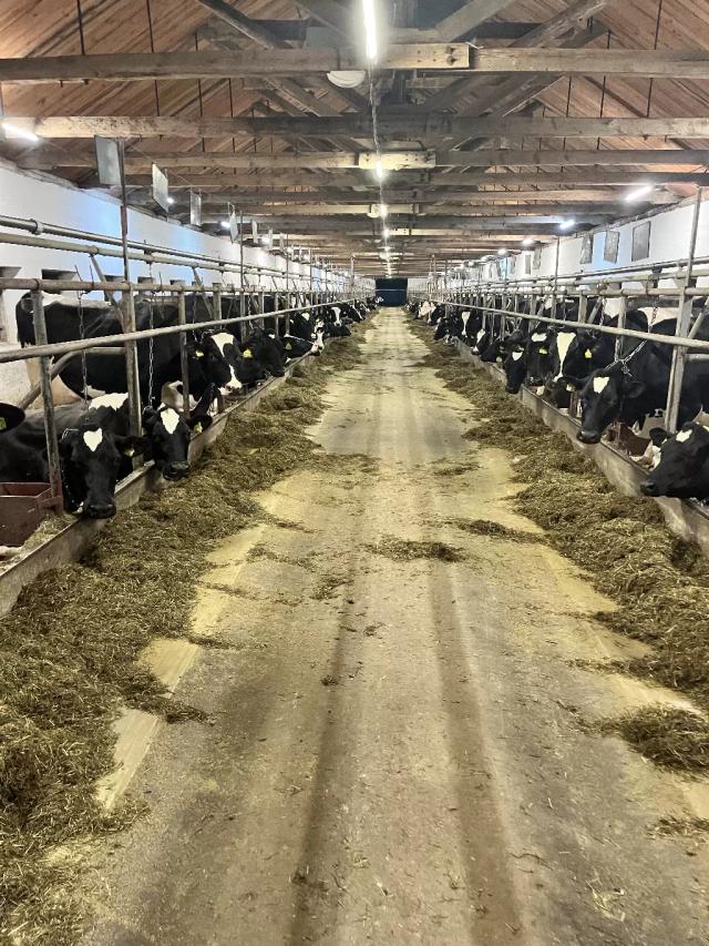 Сухое вещество