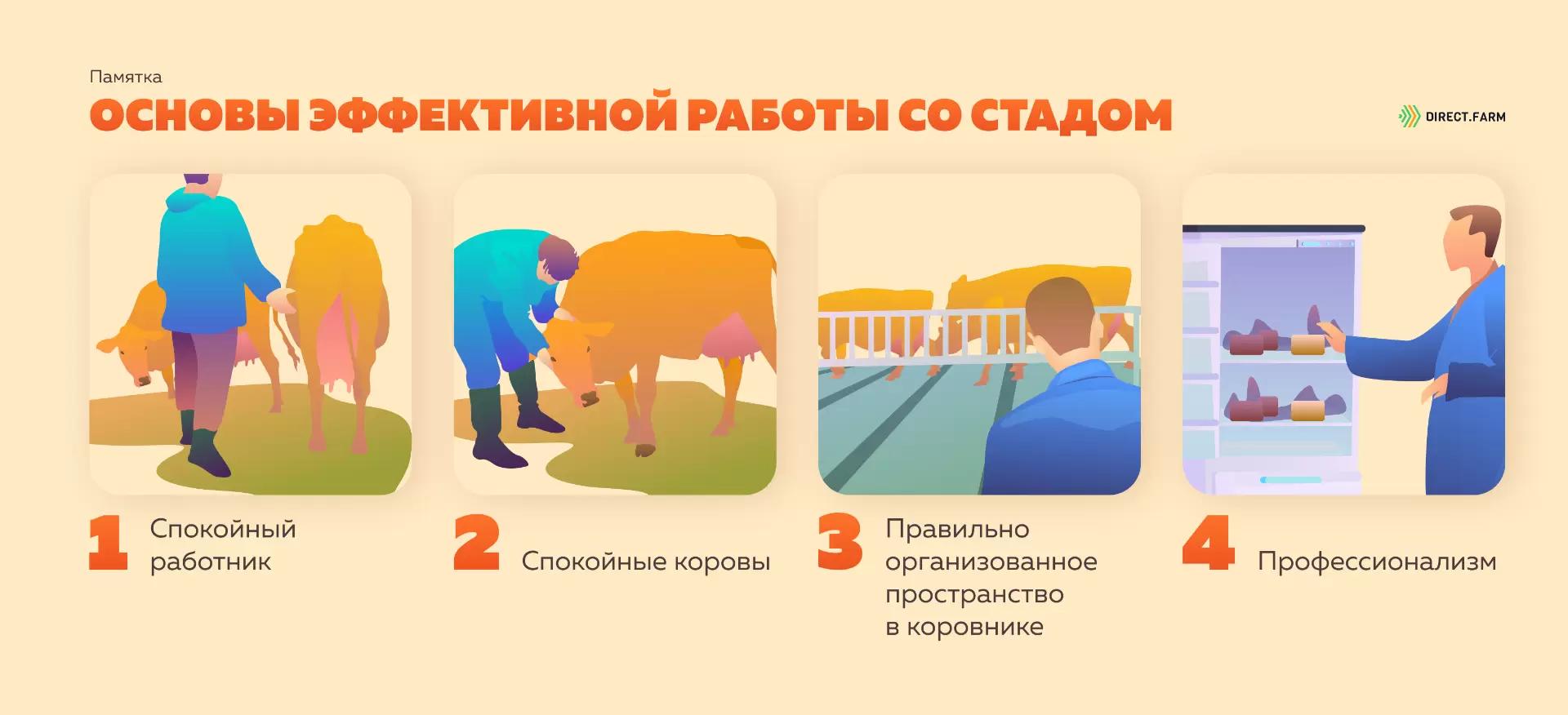 Памятка "Основы эффективной работы со стадом"
