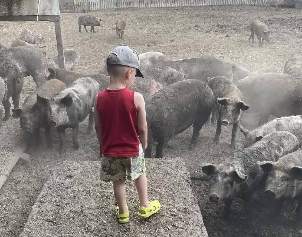 Развитие села. И один вопрос: это развитие только за счет сельской молодежи?