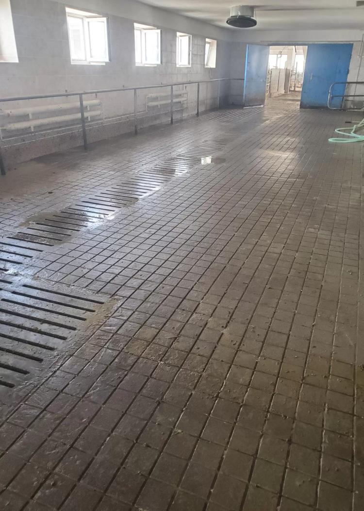 Нарезка полов в животноводческих помещениях