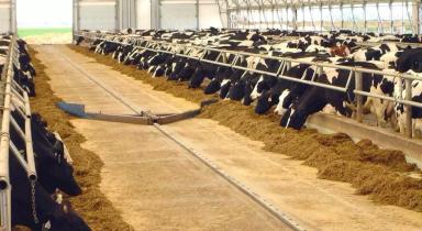 Подталкиватель кормов по типу навозного скребка