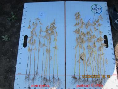 стимуляторы семян сои