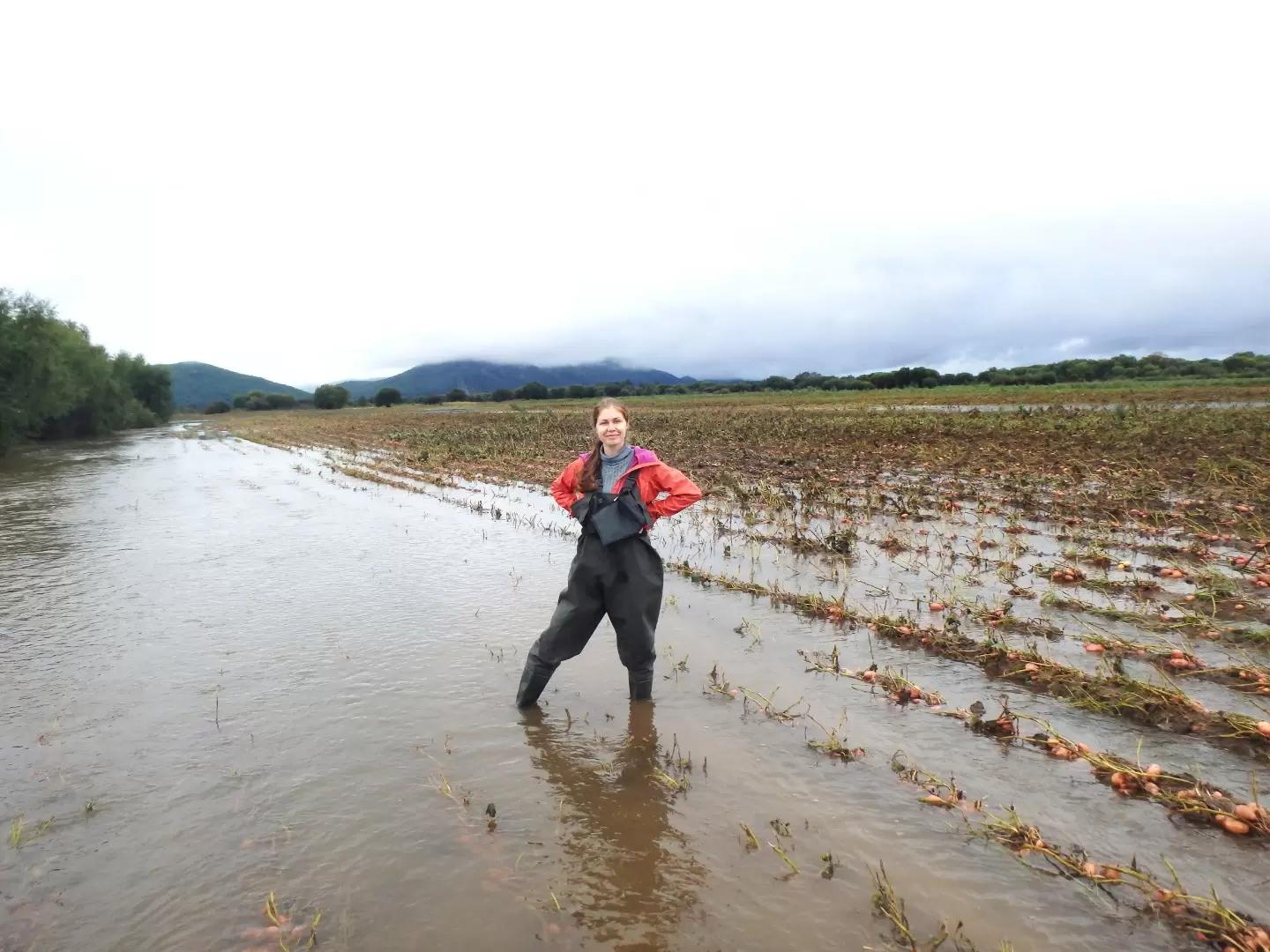 Картофель. 10 причин им не заниматься
