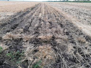 Щелеватель почвы ПБС-8х70Щ.