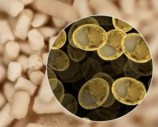 Дрожжи активные кормовые Saccharomyces cerevisiae