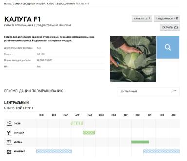 Калуга F1 (KALUGA)