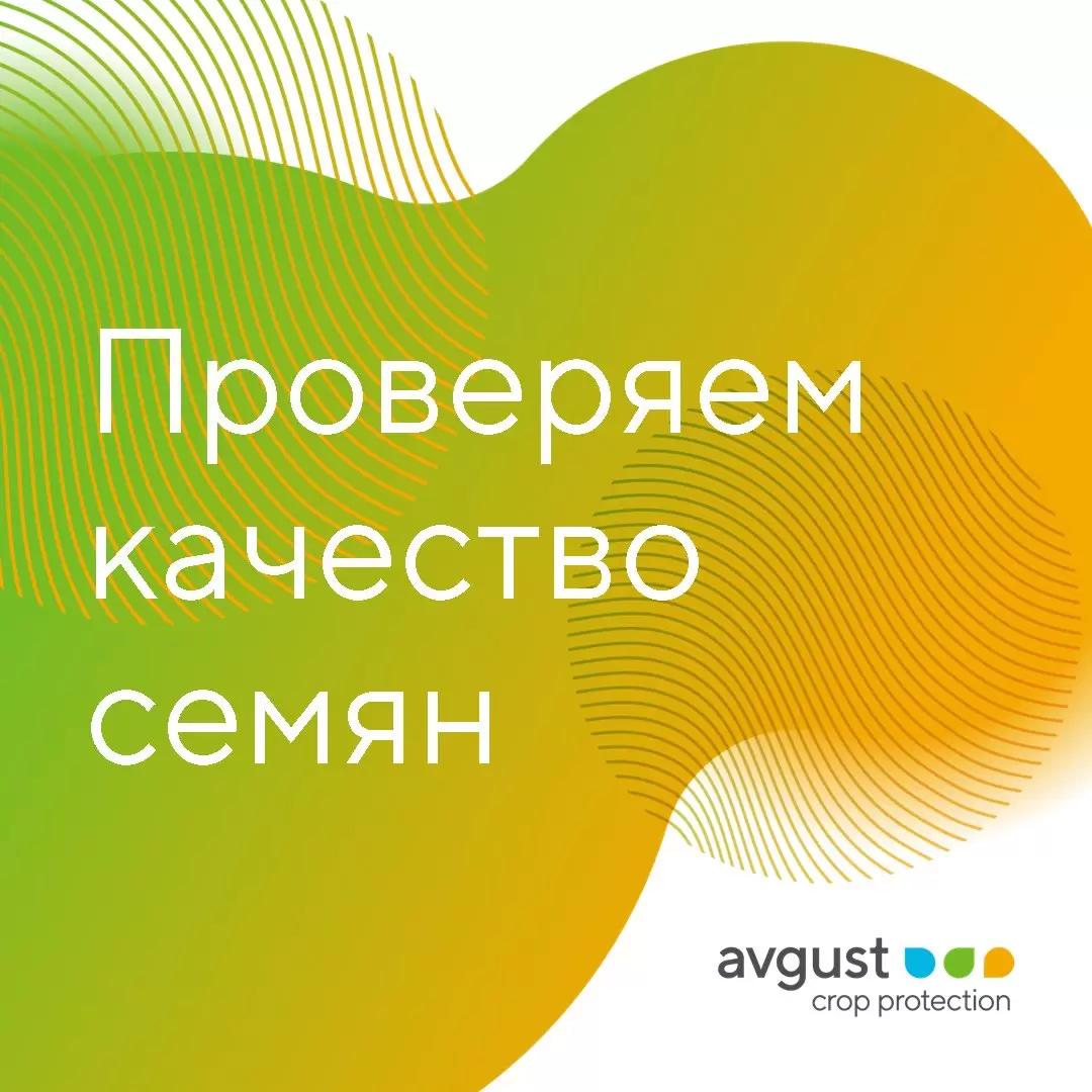 Проверяем качество семян