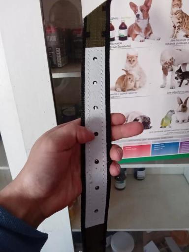 Путы при растяжениях связок у коров