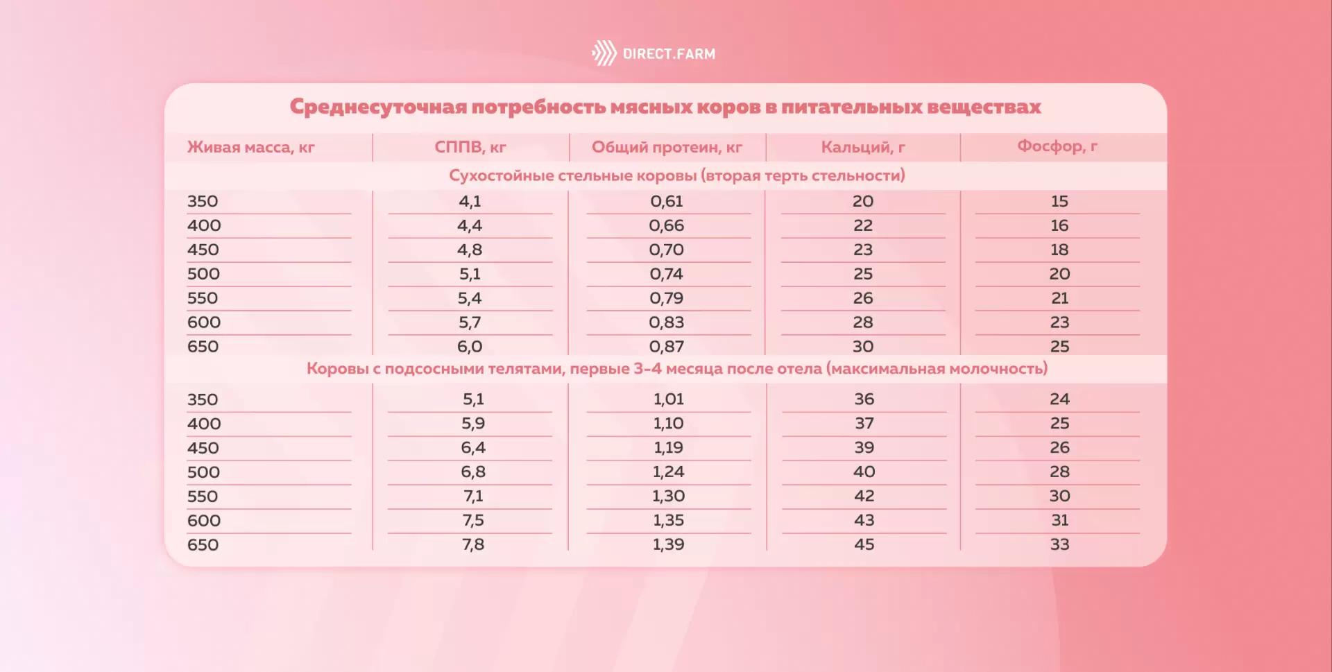 Среднесуточная потребность мясных коров в питательных веществах