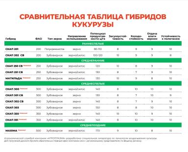 Скап 251 СВ гибрид кукурузы