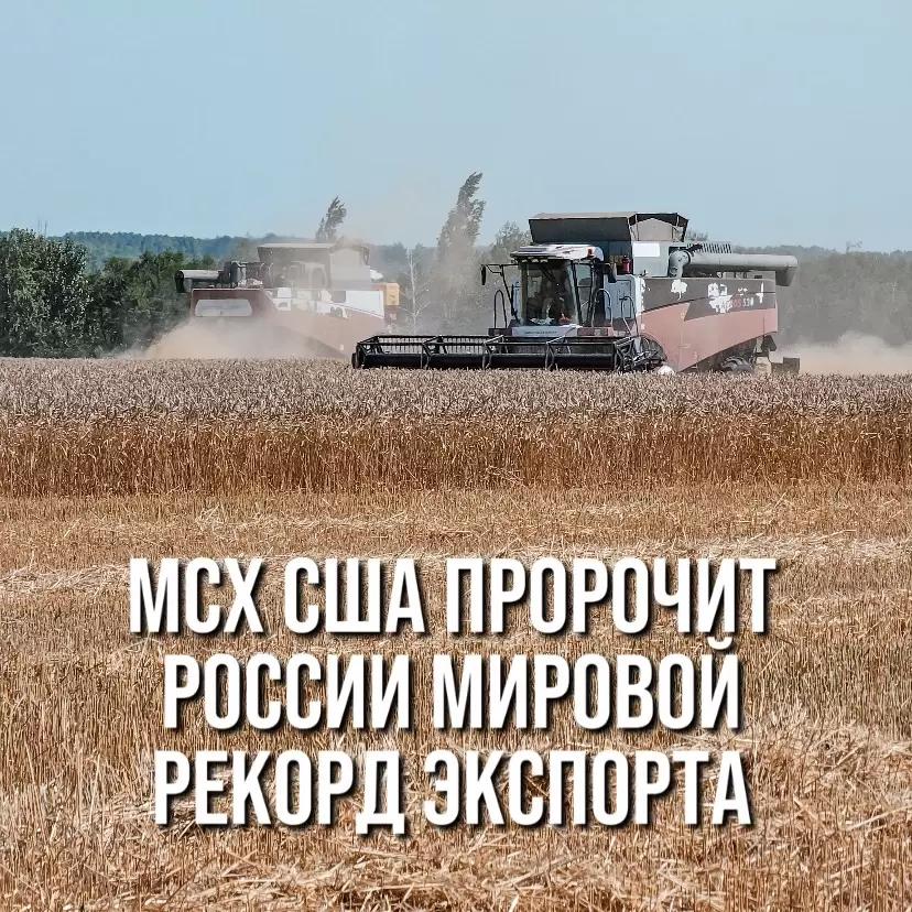 МИНСЕЛЬХОЗ США ПРОРОЧИТ РОССИИ НОВЫЙ МИРОВОЙ РЕКОРД ЭКСПОРТА ПШЕНИЦЫ