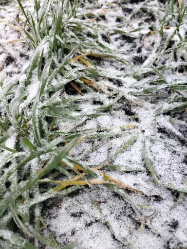 Пережить зиму.