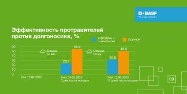 Эффективность ПОНЧО® против листогрызущих вредителей