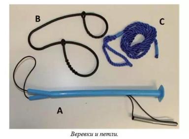 Харвуд – "Ветеринарное руководство по здоровью и благополучию коз". Гл. 7., ч. 1