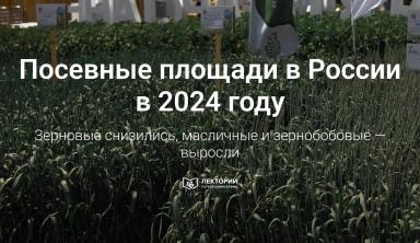 🗺️ Посевные площади в России сократились на 1,2%: данные Росстата