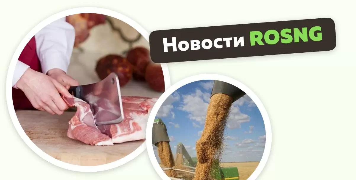 Обзор новостей за 25 декабря