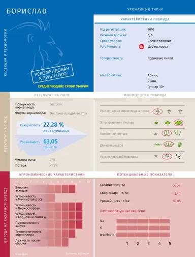 Борислав - гибрид свеклы сахарной Штрубе Рус