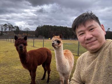 🐄 Консультации ветеринара по КРС (молочное стадо) 🩺