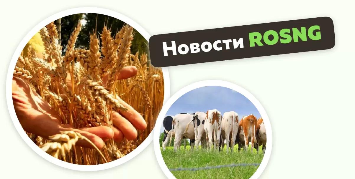 Обзор новостей за 13-14 апреля