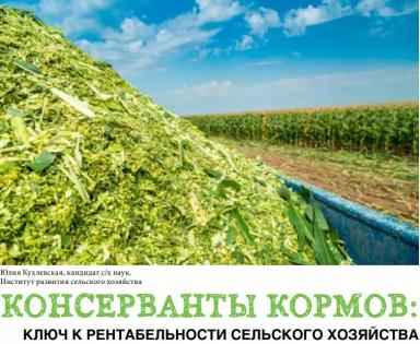 КОНСЕРВАНТЫ КОРМОВ: КЛЮЧ К РЕНТАБЕЛЬНОСТИ СЕЛЬСКОГО ХОЗЯЙСТВА.