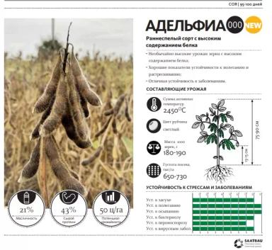 Адельфиа  - сорт сои (Glycine max (L.) Merr.).