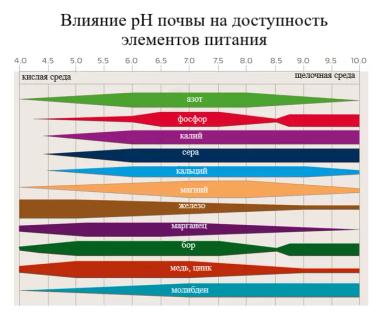 Почва/субстрат и вода для земляники садовой