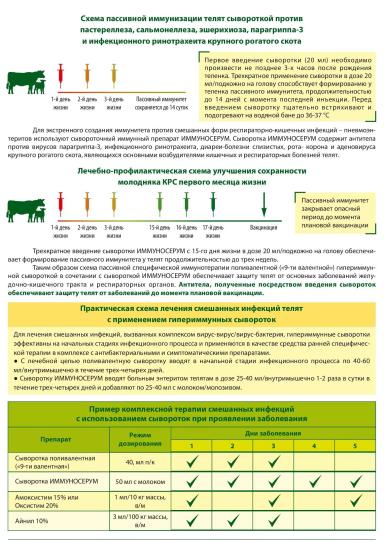 А ты защитил телёнка?