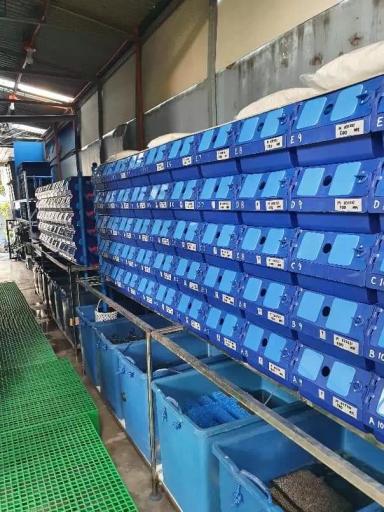 Лучшая рыба это краб.