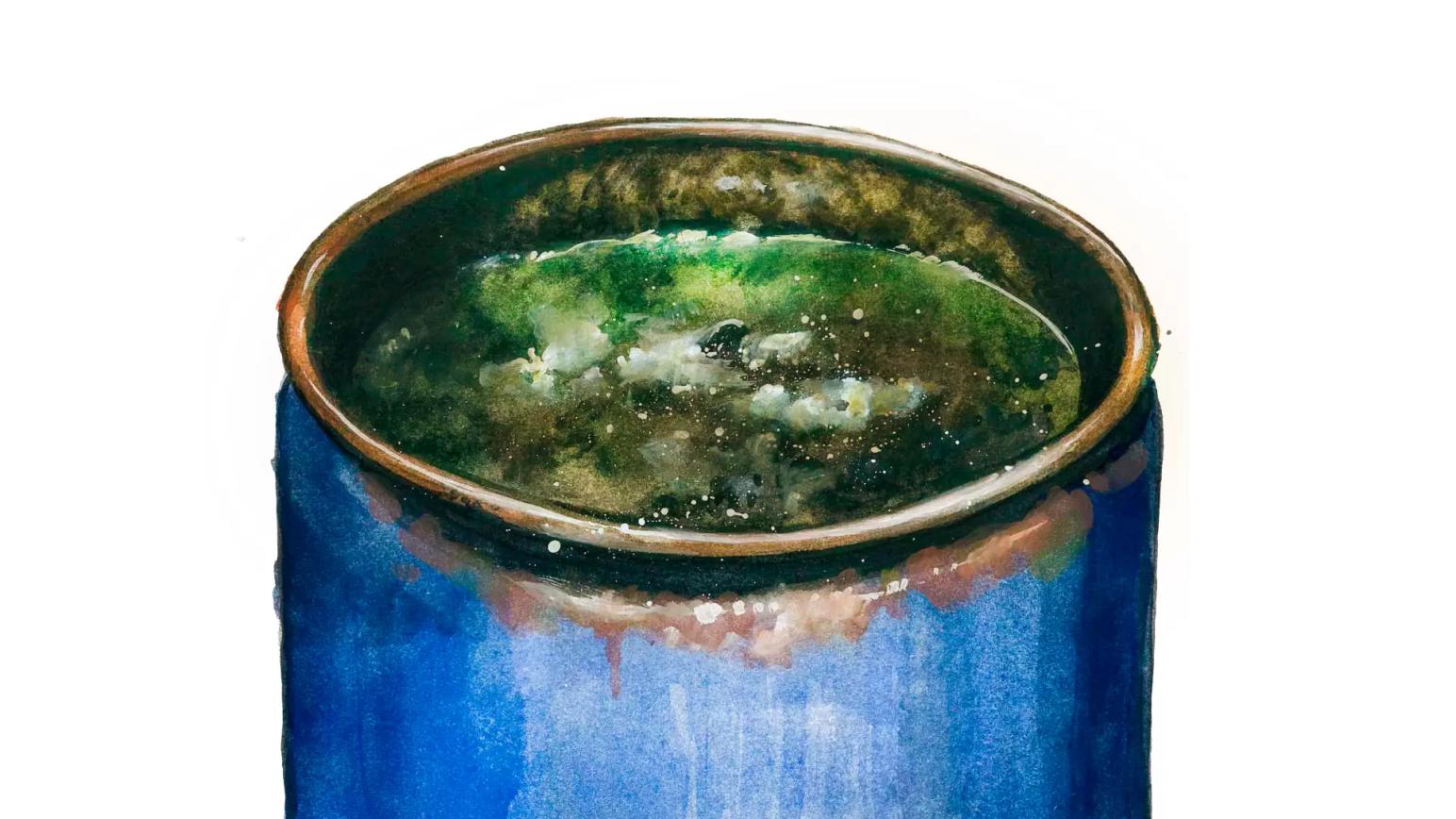 Навозная жижа