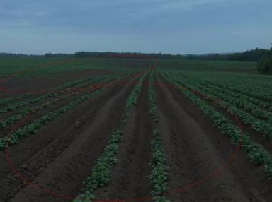 Здесь все, что нужно знать об RTK