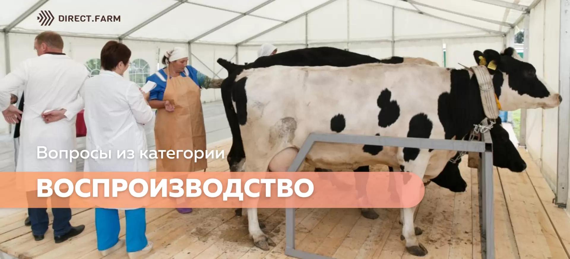 Помощь животновода: воспроизводство