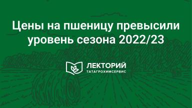 ⚡️ Цены на пшеницу превысили уровень 2022/2023!