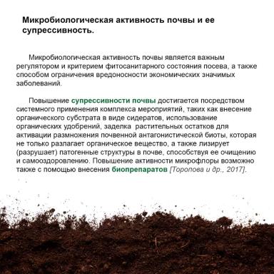 Обыкновенная корневая гниль: роль почвы